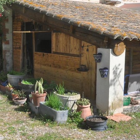 La Ferme De Tonton Jules 2 Entraigues-sur-la-Sorgue Exterior foto